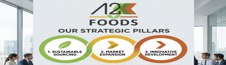 Our Strategy