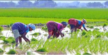 Sustainable Sourcing